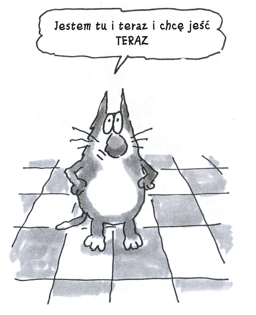 Ilustracja z książki Kot w Stanie Czystym Terry Pratchett